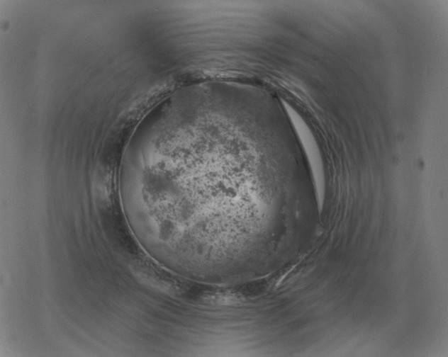 X0000068890503200605122037