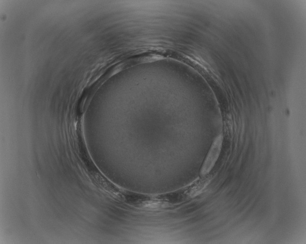 X0000068890504200605122037