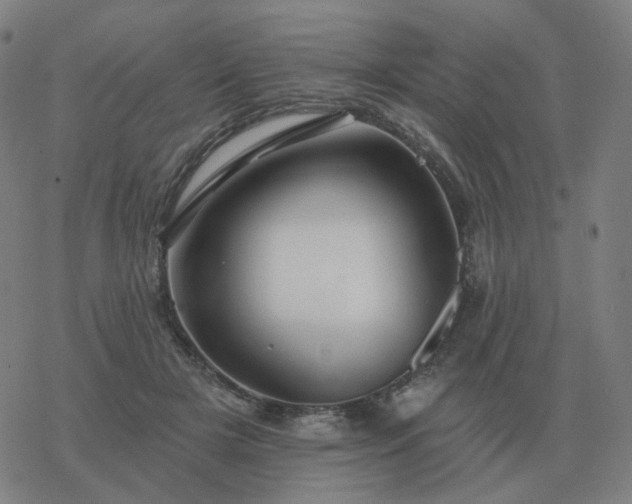 X0000068890505200605122037