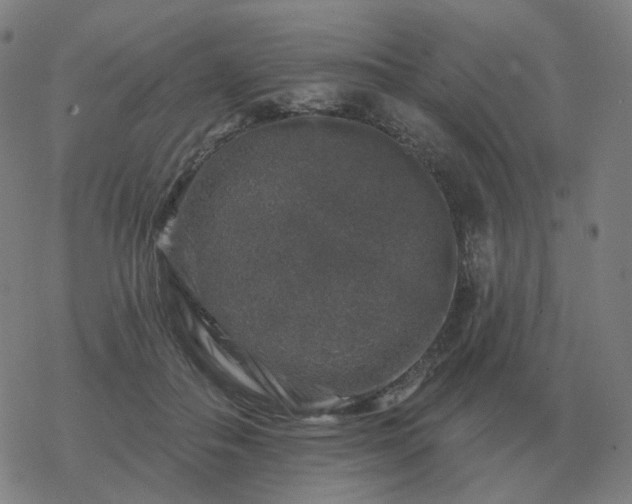 X0000068890506200605122037