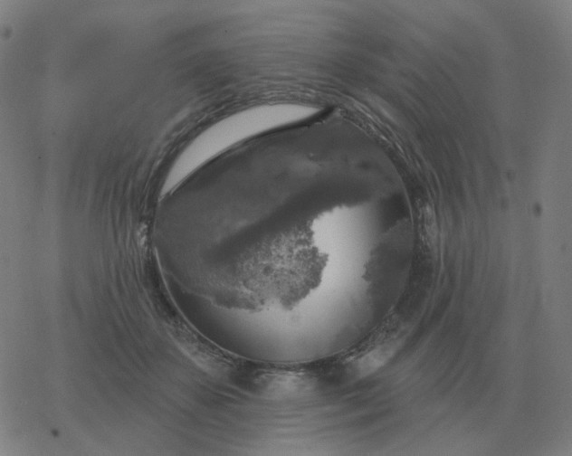 X0000068890507200605122037