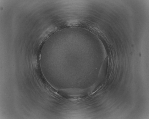 X0000068890508200605122037