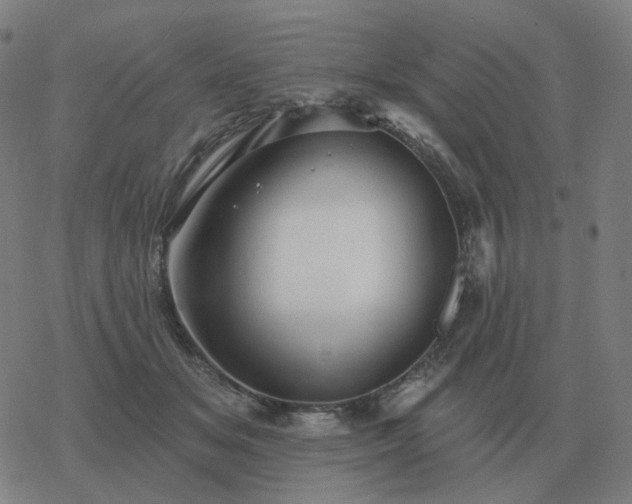 X0000068890509200605122037