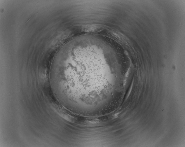 X0000068890510200605122037