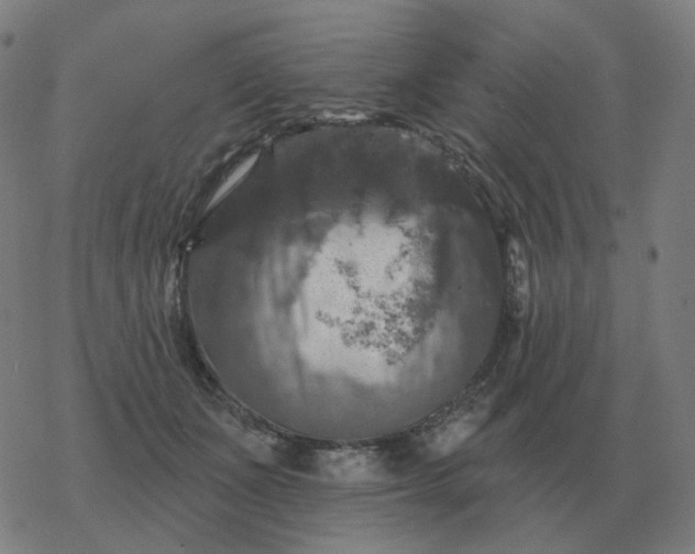 X0000068890511200605122037