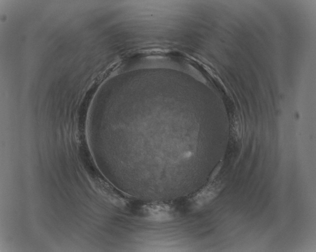 X0000068890512200605122037