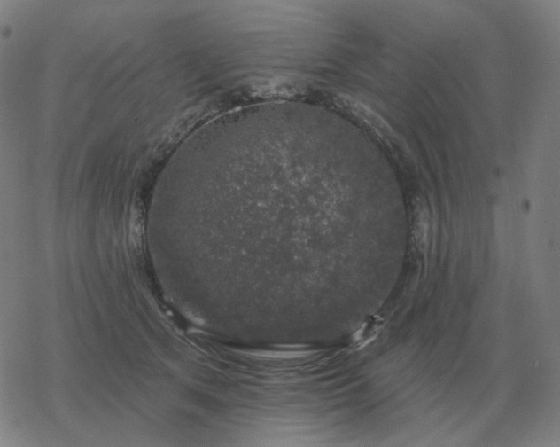 X0000068890513200605122037