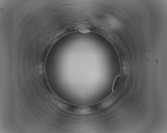 X0000068890514200605122037