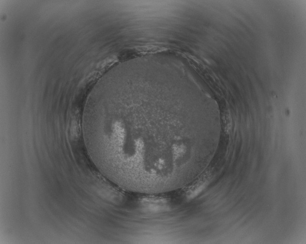 X0000068890515200605122037