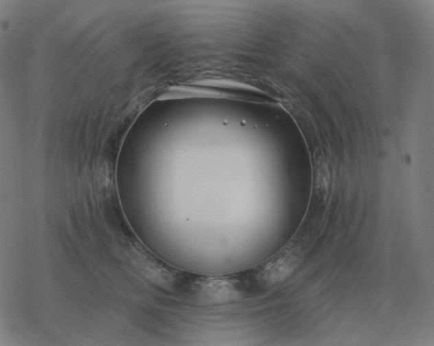 X0000068890518200605122037