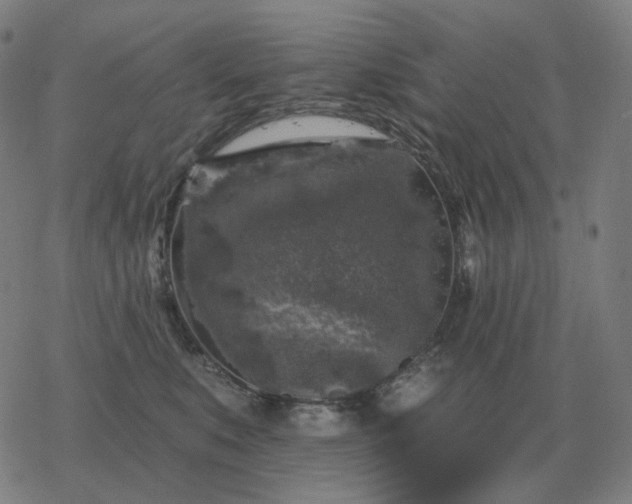 X0000068890519200605122037