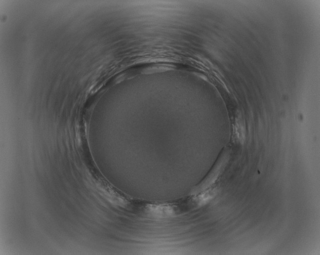 X0000068890520200605122037