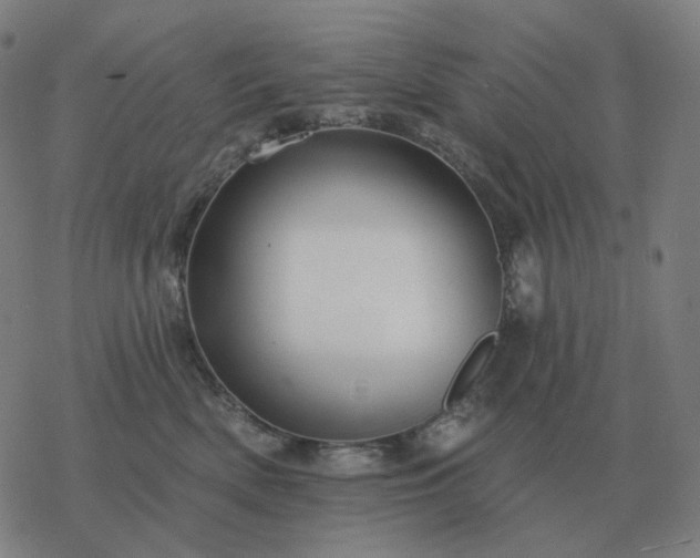 X0000068890522200605122037