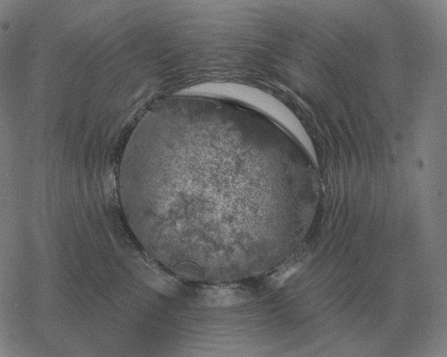 X0000068890523200605122037