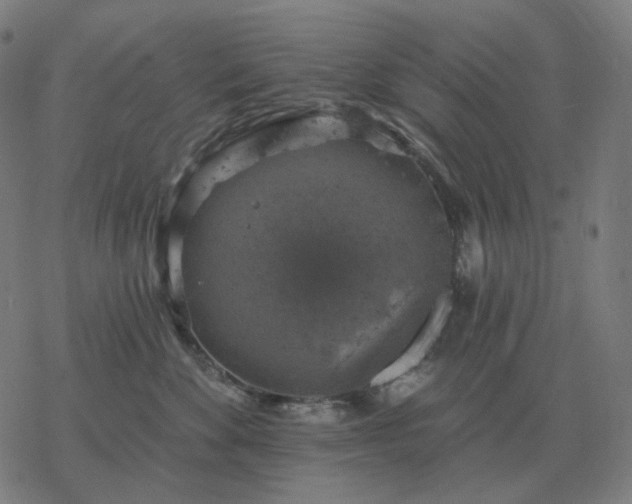 X0000068890524200605122037