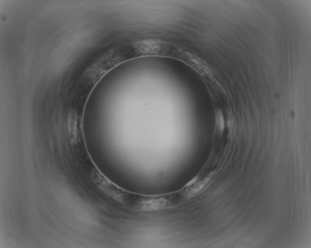 X0000068890525200605122037