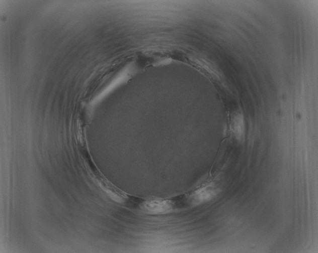 X0000068890526200605122037