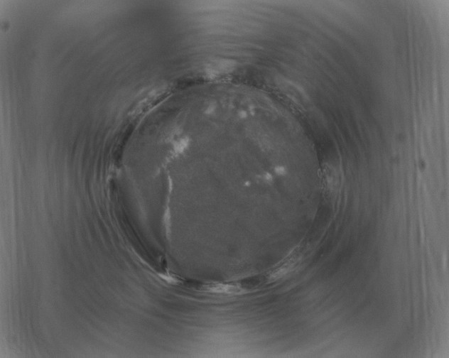 X0000068890527200605122037