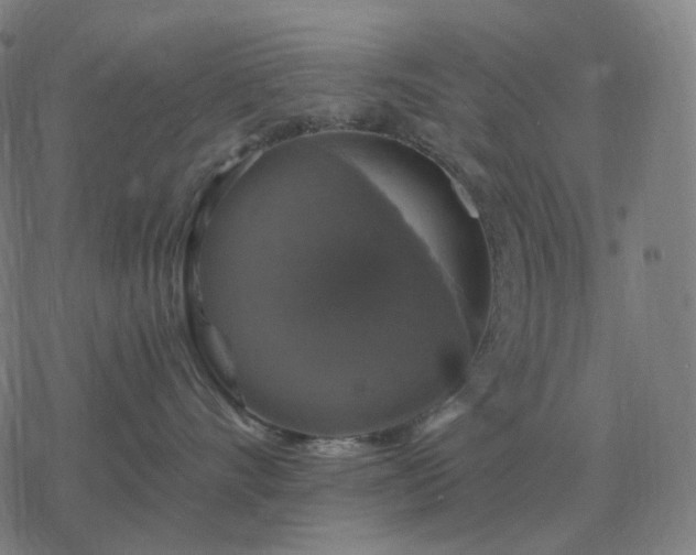 X0000068890528200605122037