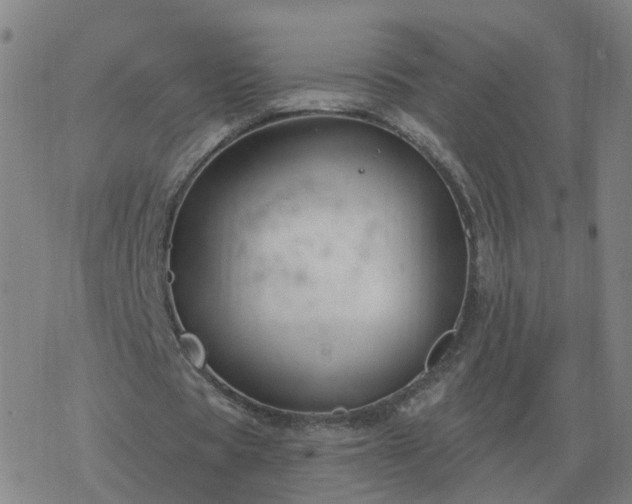 X0000068890529200605122036