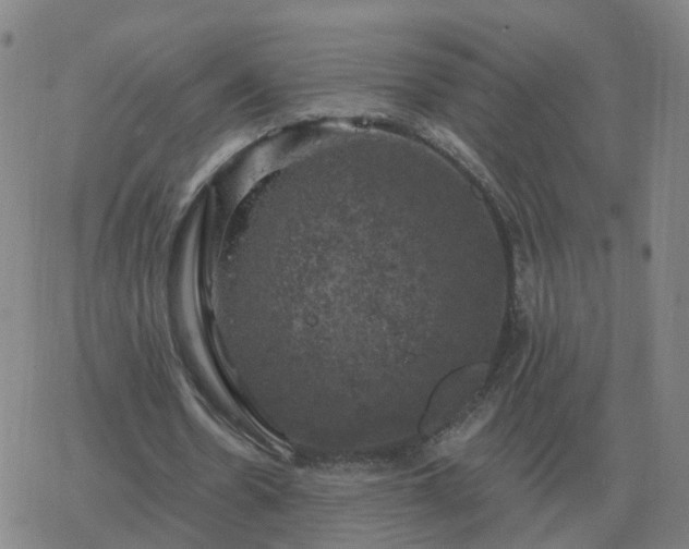 X0000068890530200605122036