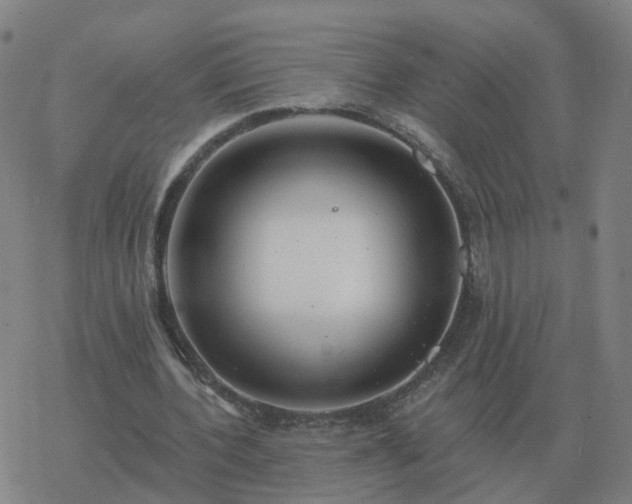 X0000068890532200605122036