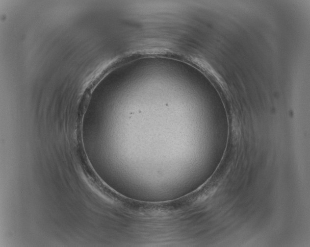 X0000068890533200605122036