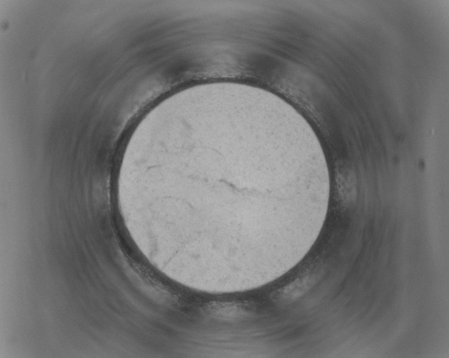 X0000068890534200605122036