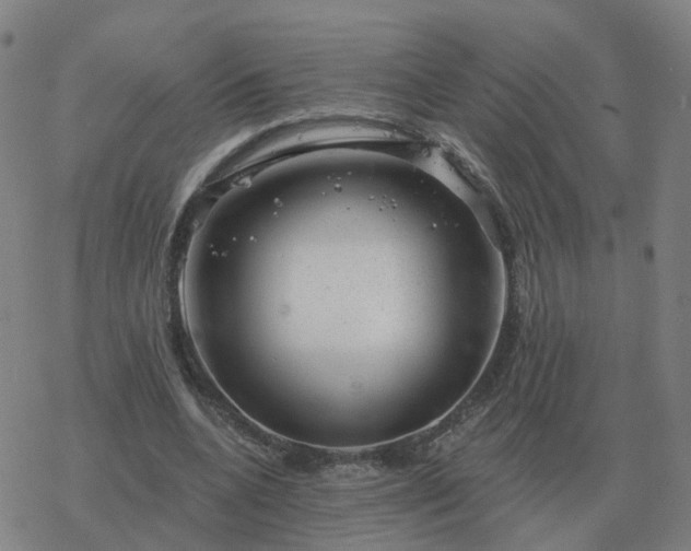 X0000068890536200605122036