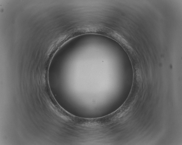 X0000068890537200605122036