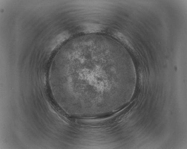 X0000068890539200605122036