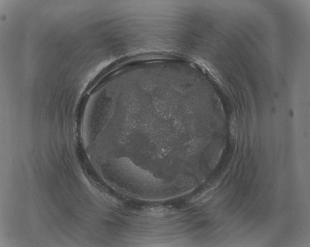 X0000068890540200605122036