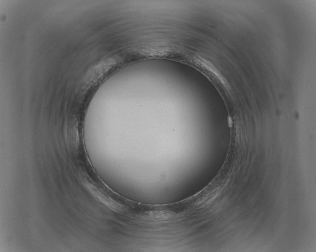 X0000068890541200605122036