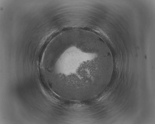 X0000068890542200605122036