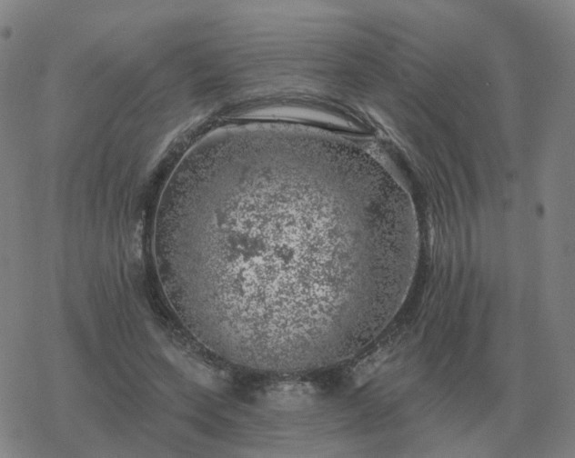 X0000068890543200605122036