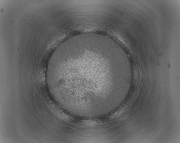 X0000068890545200605122036