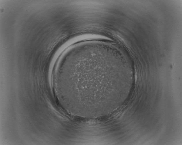 X0000068890546200605122036