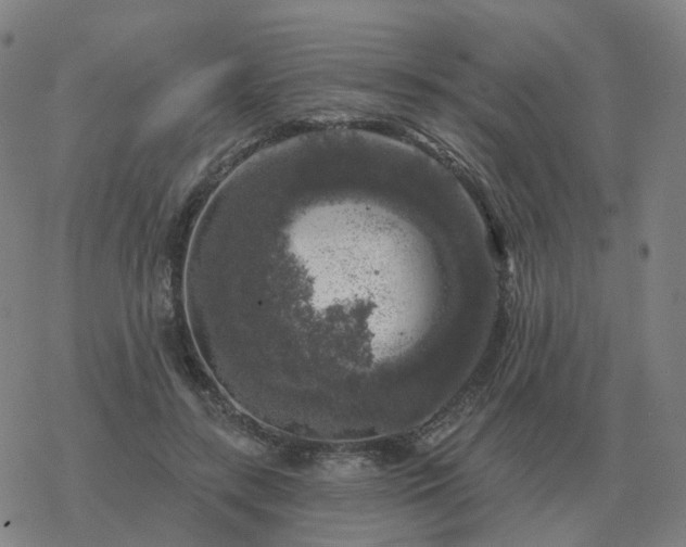 X0000068890547200605122036