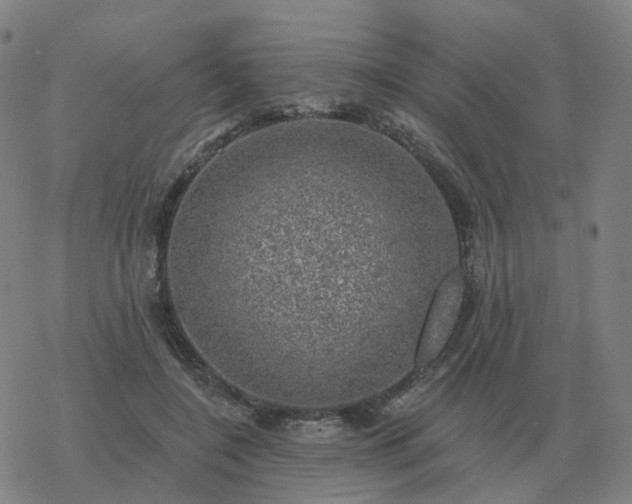 X0000068890548200605122037