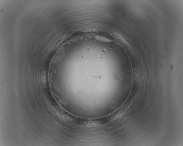 X0000068890549200605122037