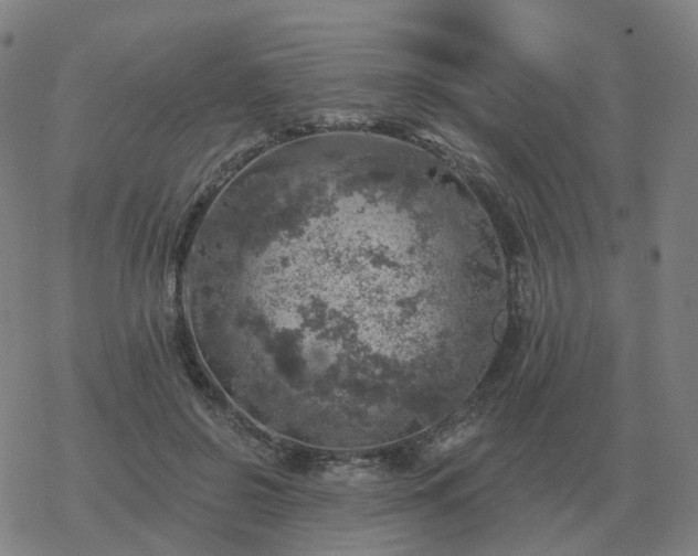 X0000068890550200605122037