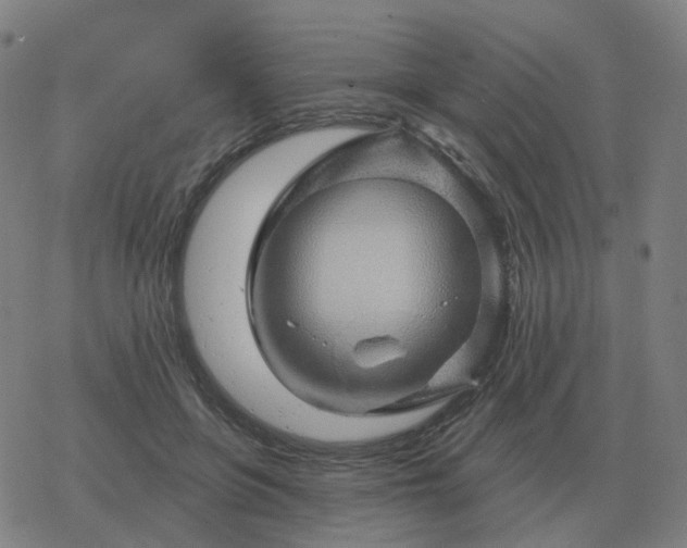 X0000068890551200605122037