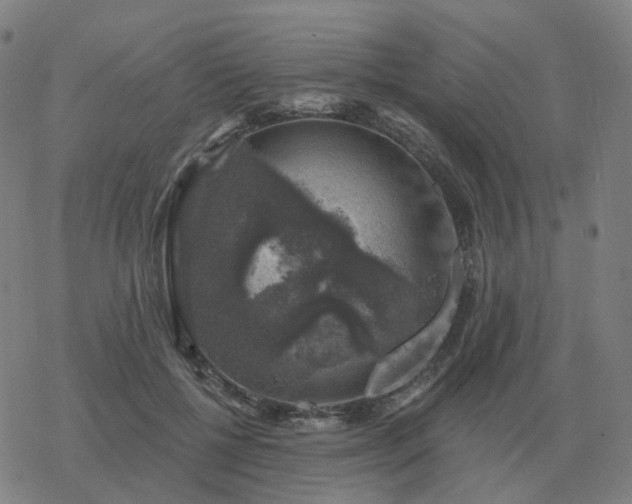 X0000068890552200605122037