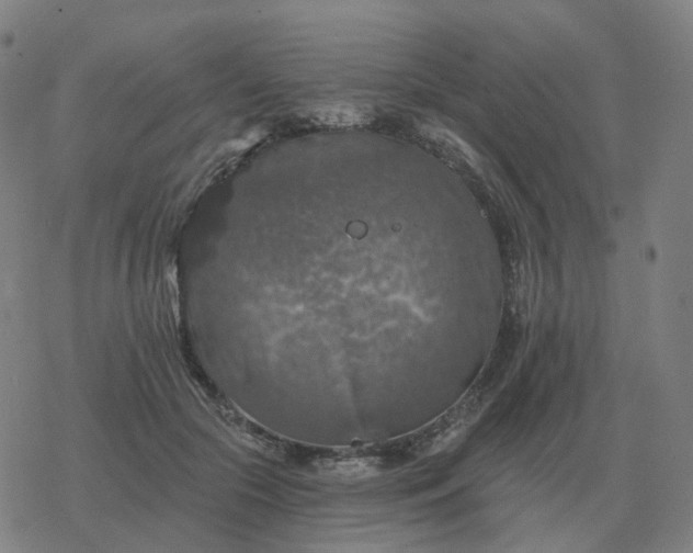 X0000068890553200605122037