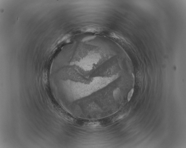 X0000068890554200605122037