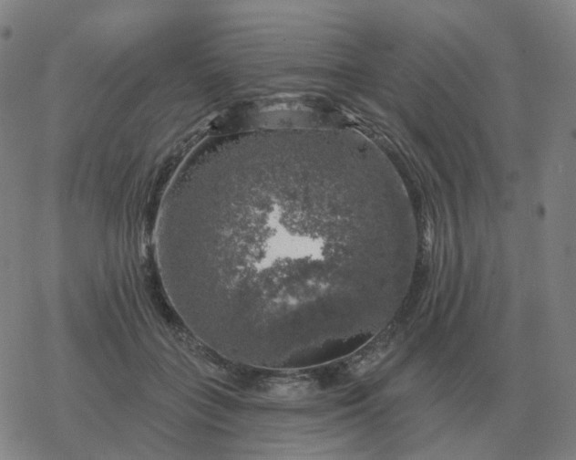 X0000068890555200605122037