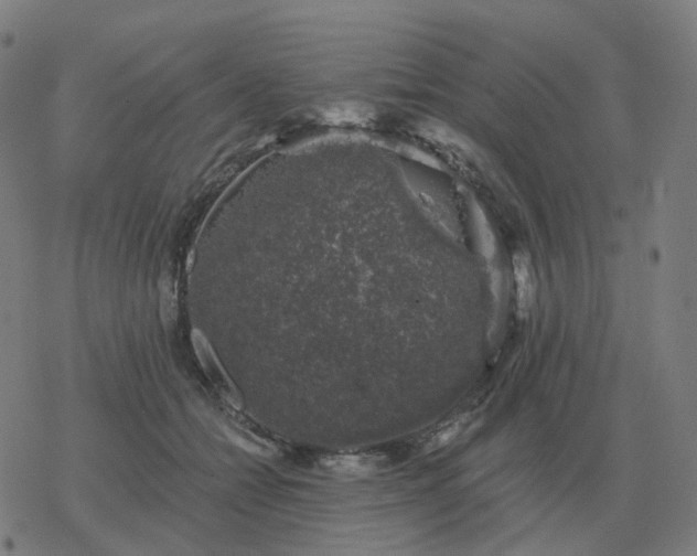 X0000068890558200605122037