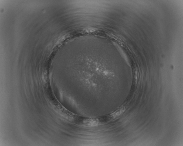 X0000068890559200605122037