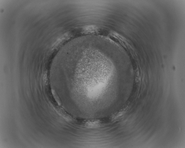 X0000068890560200605122037