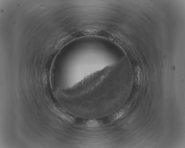 X0000068890562200605122037